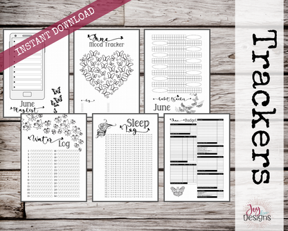 June PreMade Bullet Dotted Journal Planner Pages | Instant Download Printable Planner | Weekly Bujo Inserts Template PDF 2 Sizes